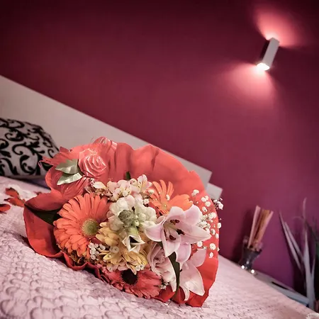 Chroma Italy - Chroma Marconi 2* Rome